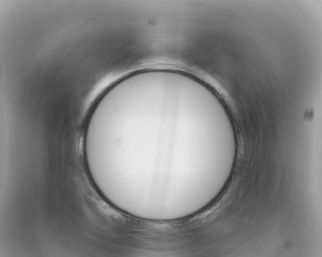 X0000091311462200708101059