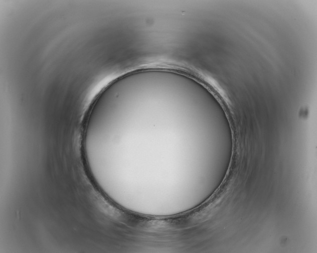 X0000091311463200708101059