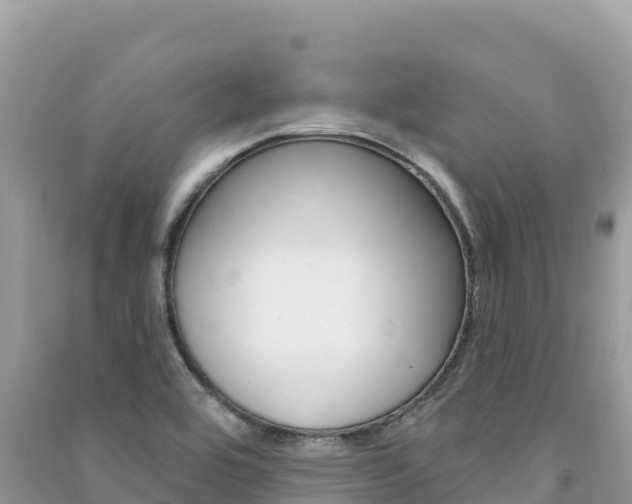 X0000091311464200708101059