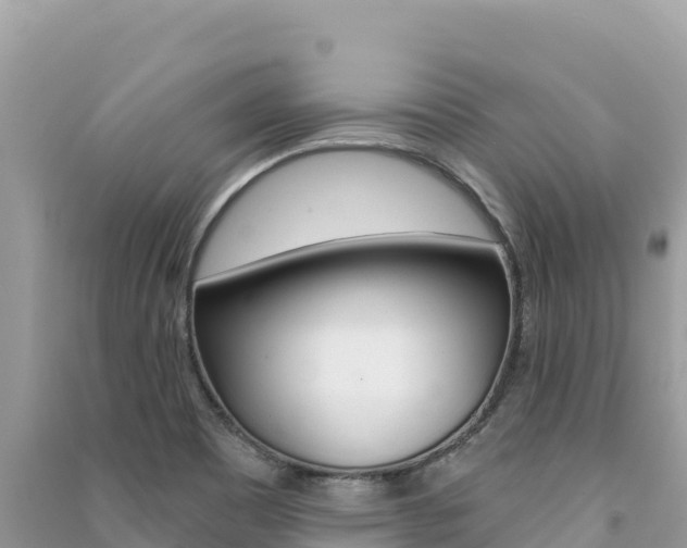 X0000091311465200708101059