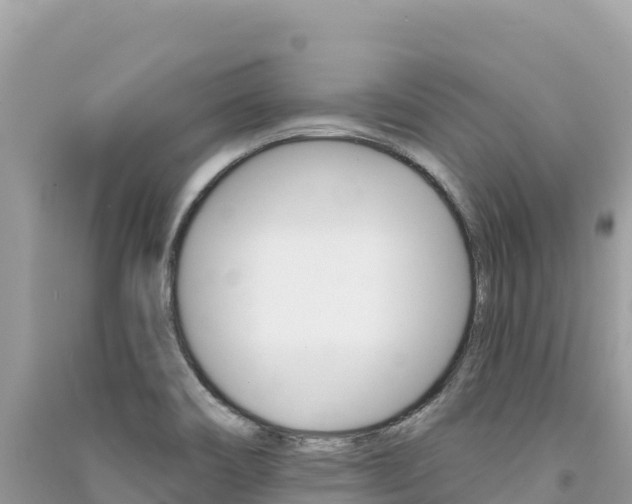 X0000091311466200708101059