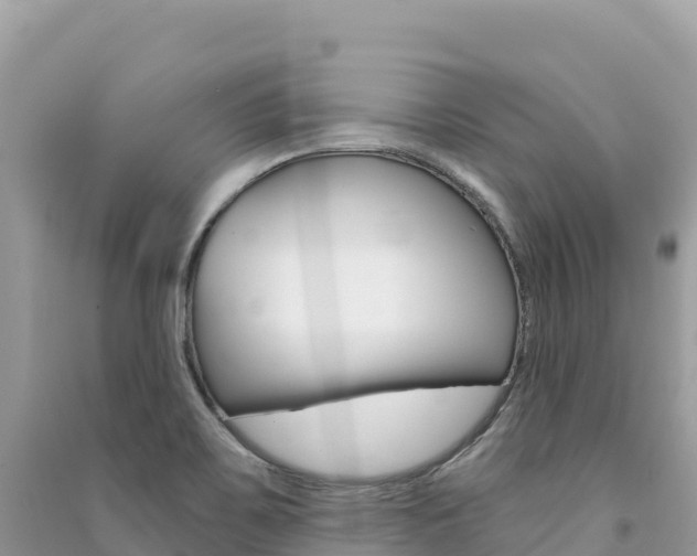 X0000091311467200708101059