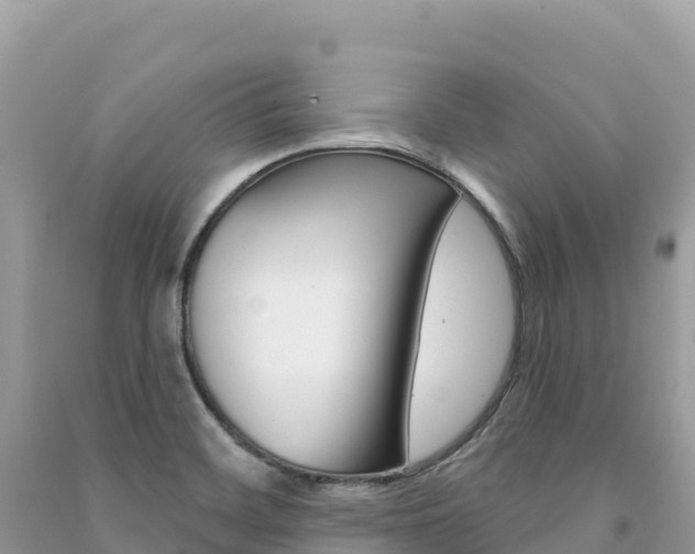 X0000091311468200708101059