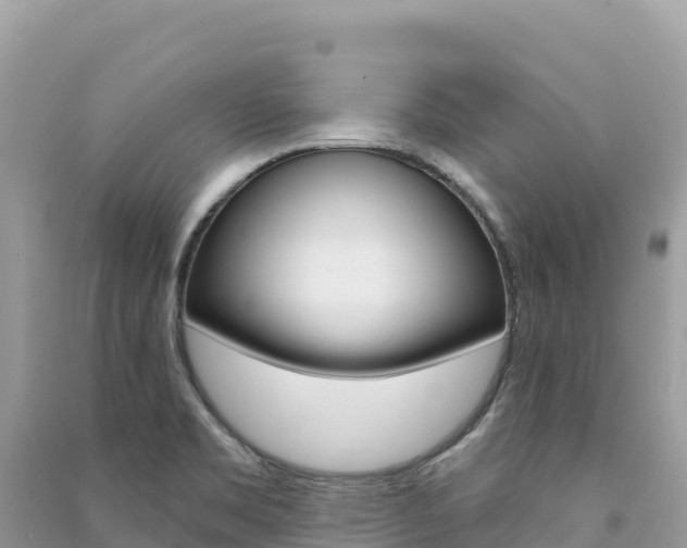 X0000091311469200708101059