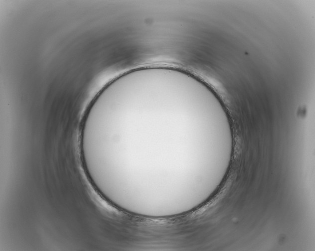 X0000091311470200708101059