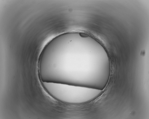 X0000091311471200708101059