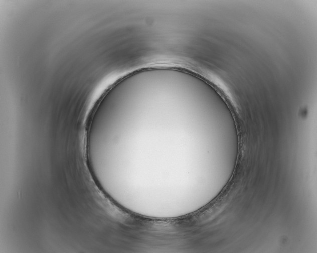 X0000091311472200708101059