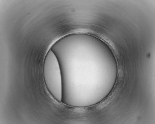 X0000091311473200708101059