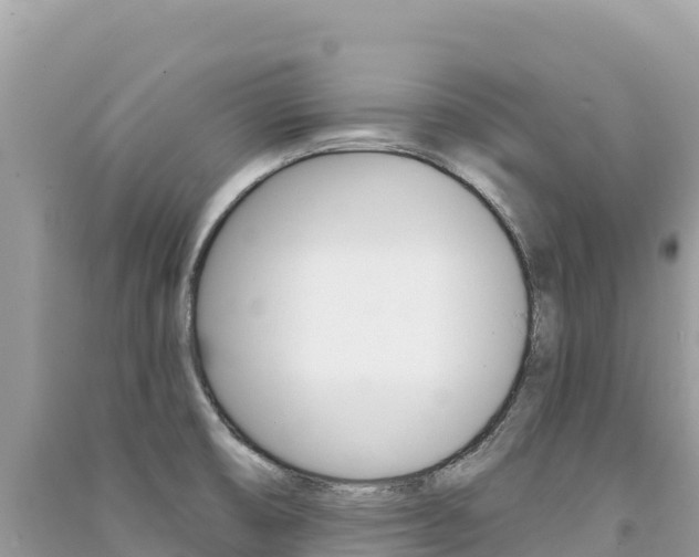 X0000091311474200708101059