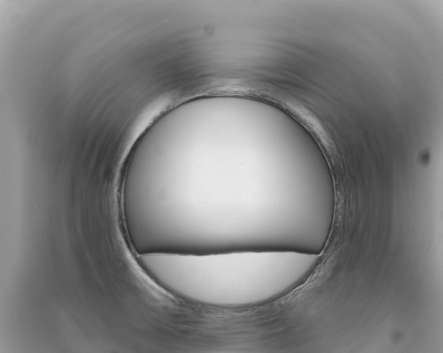 X0000091311475200708101059
