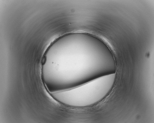X0000091311476200708101059