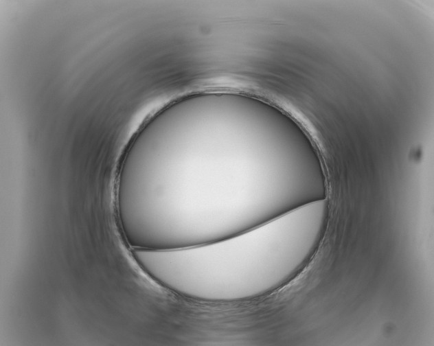 X0000091311477200708101059