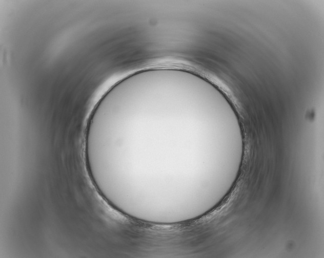 X0000091311478200708101059