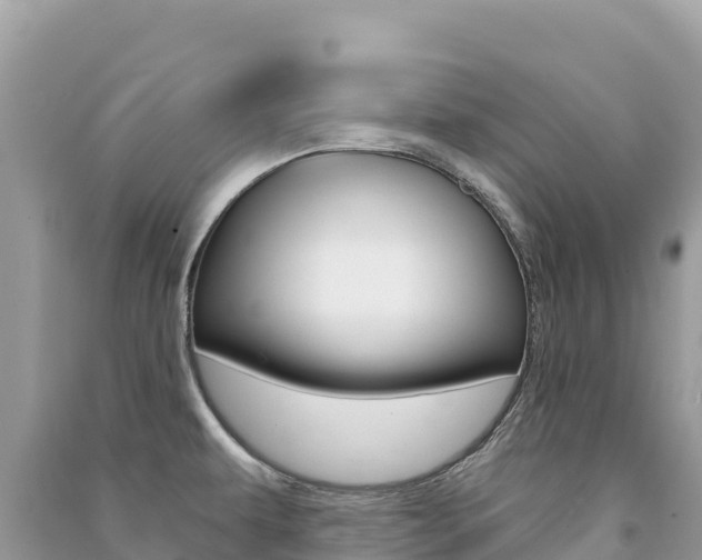 X0000091311479200708101059