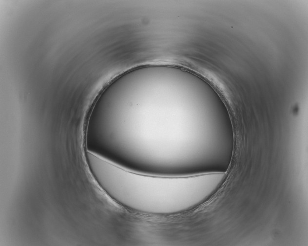 X0000091311480200708101059