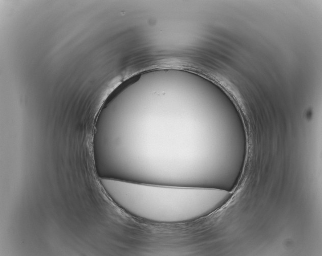 X0000091311481200708101059