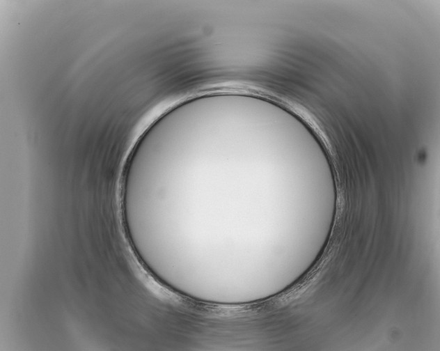 X0000091311482200708101059