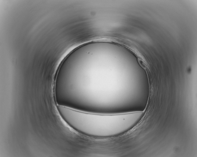 X0000091311484200708101059