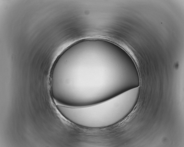 X0000091311485200708101059