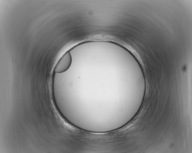 X0000091311486200708101059