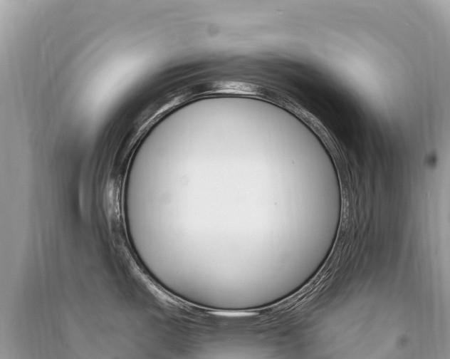 X0000091311487200708101058