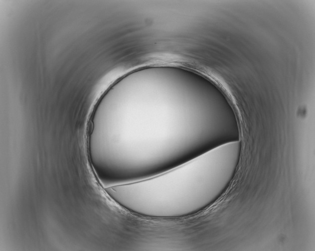 X0000091311488200708101058