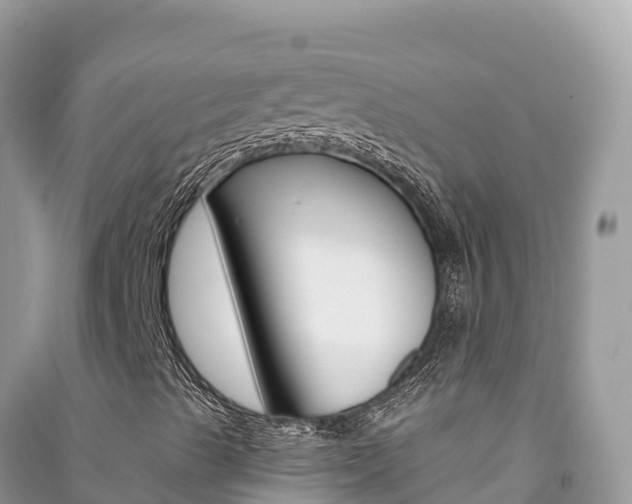 X0000091311489200708101058