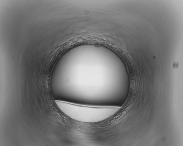 X0000091311490200708101058