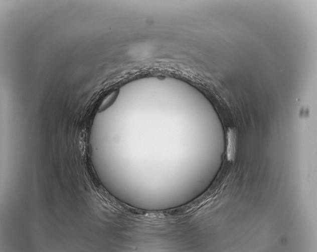 X0000091311491200708101058