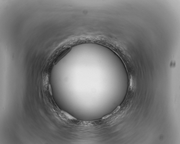 X0000091311492200708101058