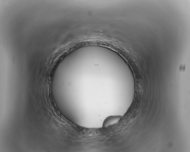 X0000091311493200708101058
