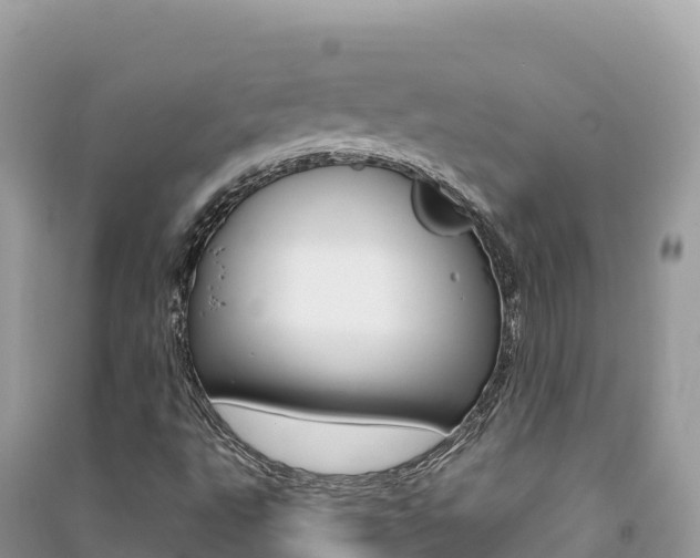 X0000091311495200708101058