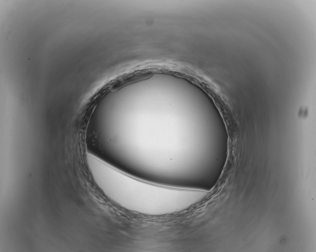 X0000091311496200708101058