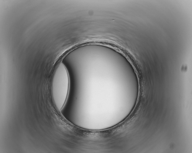 X0000091311497200708101058