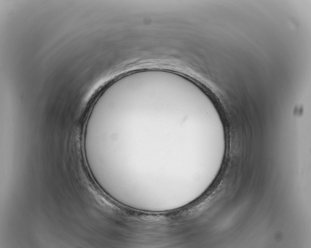 X0000091311498200708101058