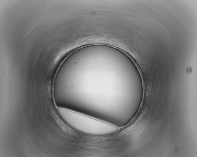 X0000091311499200708101058