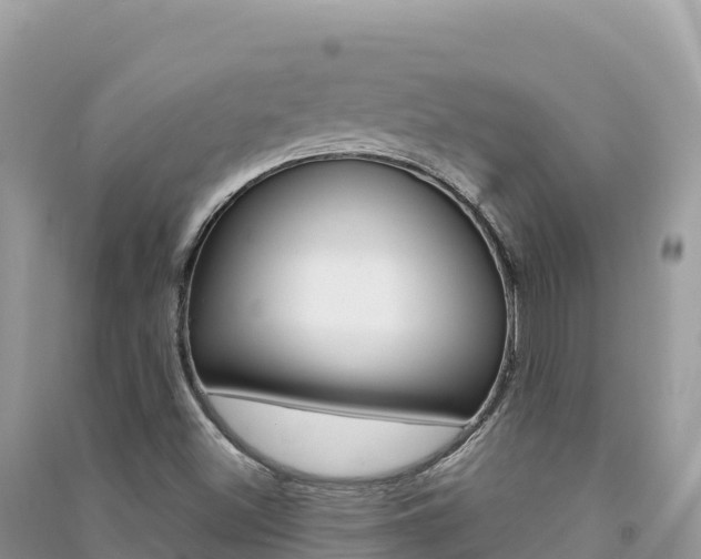 X0000091311500200708101058