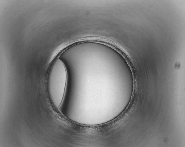 X0000091311501200708101058