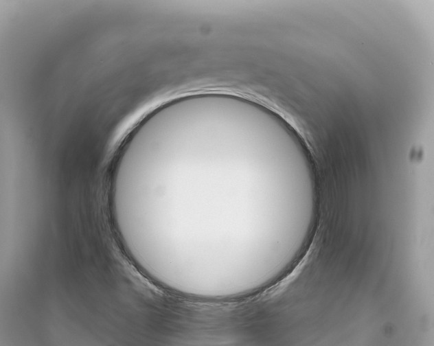 X0000091311502200708101058