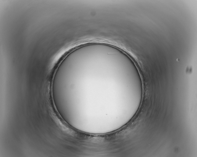 X0000091311503200708101058