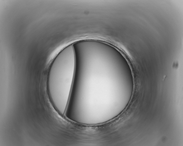 X0000091311504200708101058