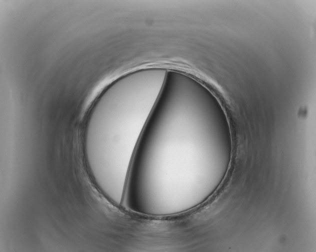 X0000091311506200708101058
