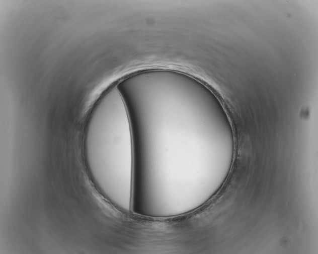 X0000091311507200708101058