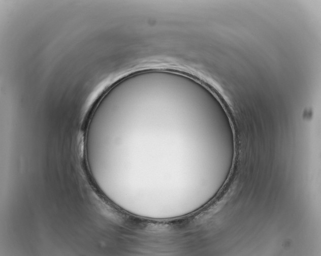 X0000091311509200708101058