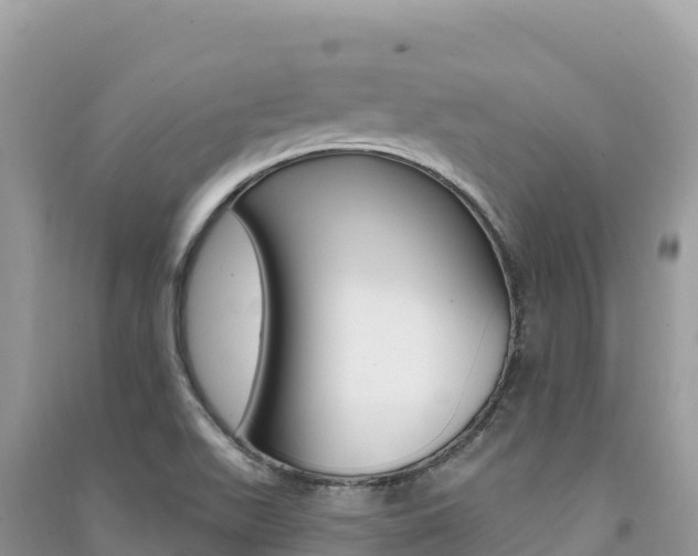X0000091311511200708101058