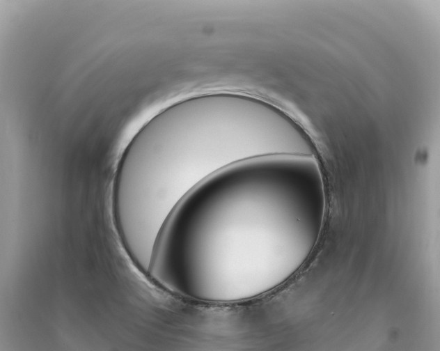 X0000091311512200708101058