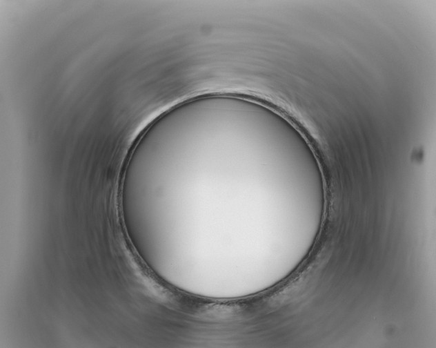 X0000091311513200708101058