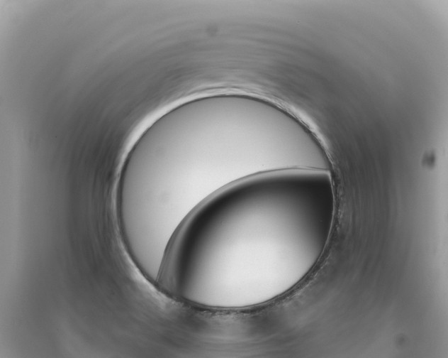 X0000091311516200708101058