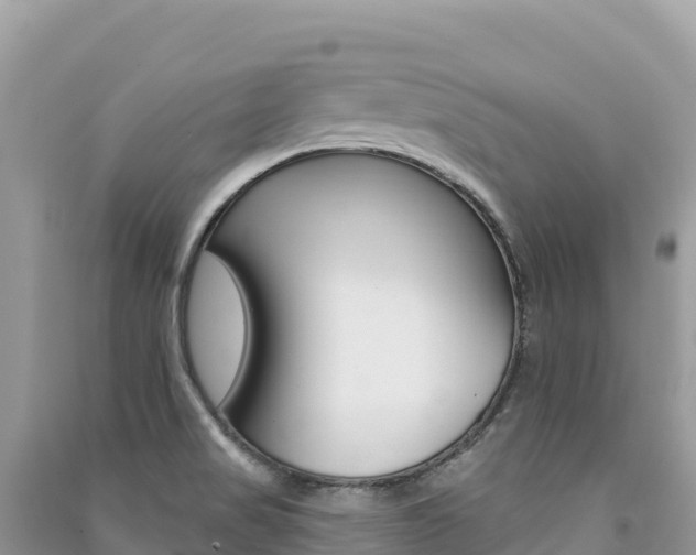 X0000091311517200708101058