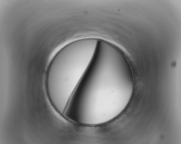 X0000091311518200708101058